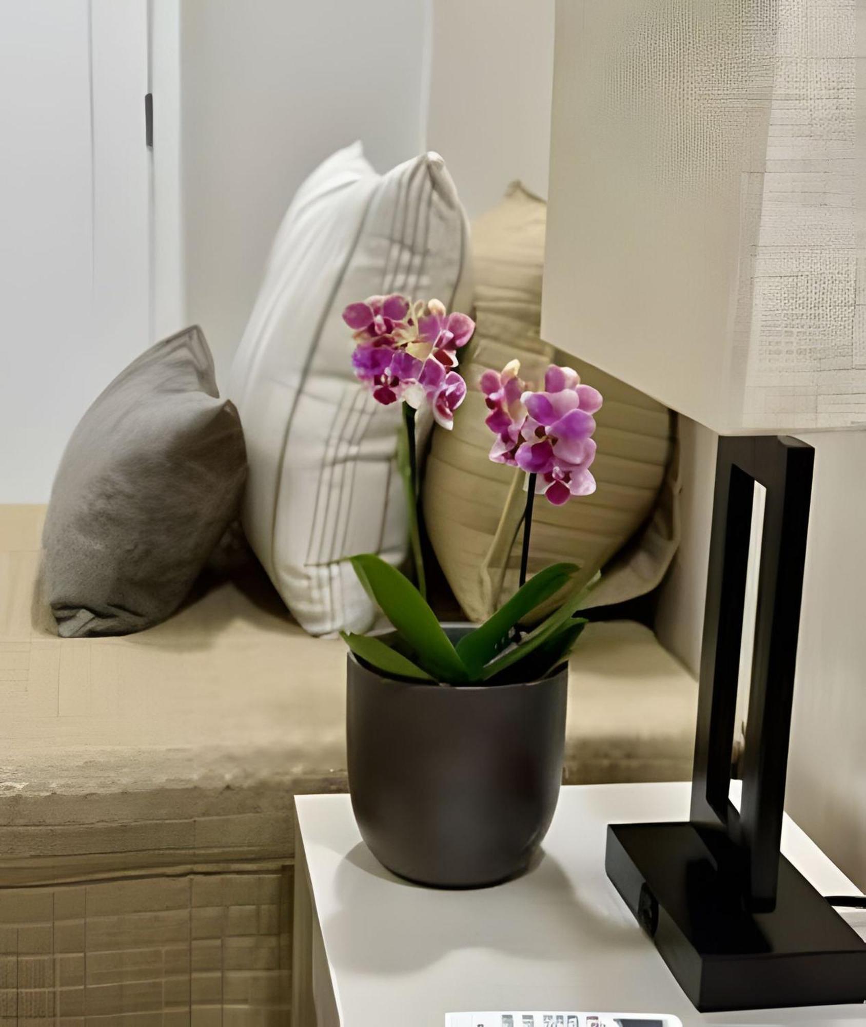Appartement Top! Amplo E Elegante. 3 Quartos Em Copa 6